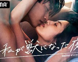 我放縱情欲的夜晚 cover