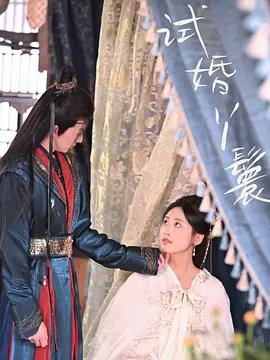 試婚丫鬟 cover