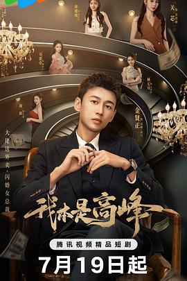 我本是高峰 cover