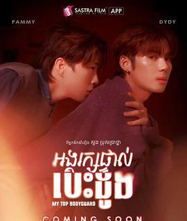 我的頂級保鏢 cover