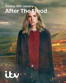洪水之後 第二季 cover