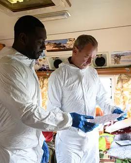 格雷斯 第六季 cover