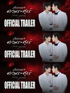 維納斯的新郎 cover