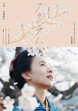 花朵盛開 cover